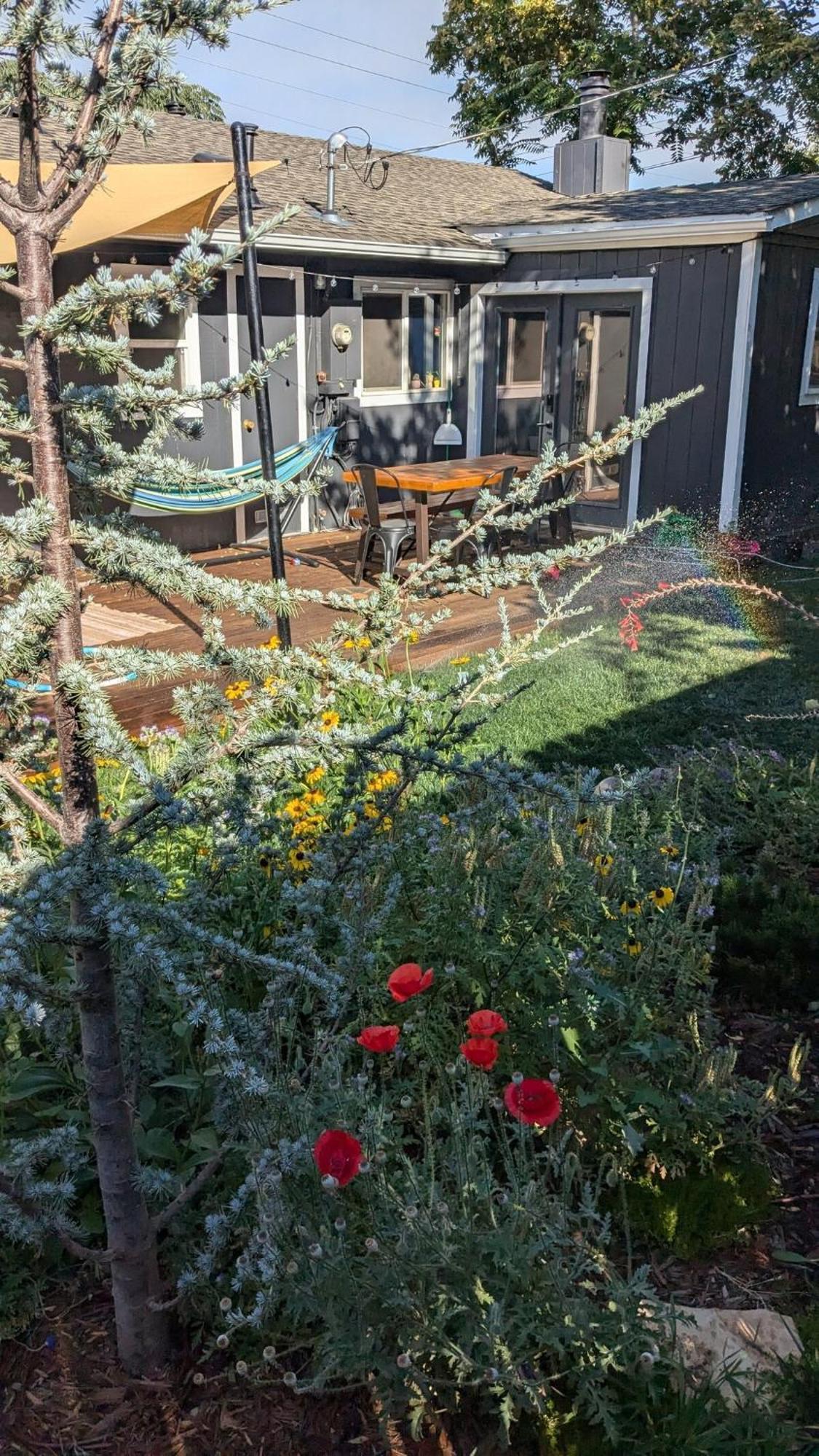 The Midtown Reno Orchard Villa Exteriör bild