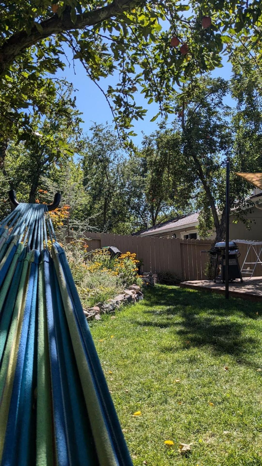 The Midtown Reno Orchard Villa Exteriör bild